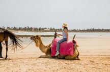 Sunrise camel ride, breakfast, and swimming in Djerba
