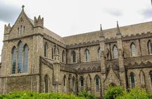 Explore Dublin 1-hour with a local