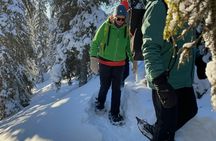 Soft snowshoe hike in the snowy landscape with local guide