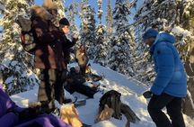 Soft snowshoe hike in the snowy landscape with local guide