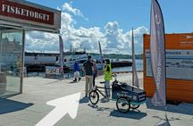 Oslo Fjord sightseeing audio-guided electrical boat tour