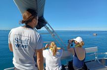 Boat excursion to discover the Miramare UNESCO Reserve
