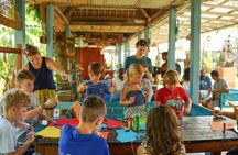 2.5-hour art workshop in Hoi An