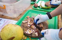 3.5-hour garbage enzyme-making in Hoi An