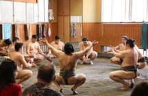 Sumo training observation tour with sumo journalist
