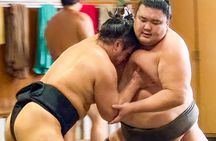 Sumo training observation tour with sumo journalist