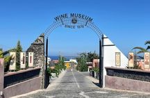 Santorini half-day family tour with wine museum visit