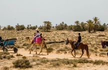 Camel, horse and carriage tour of Djerba's countryside