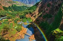 Full-day excursion to Ouzoud from Marrakech