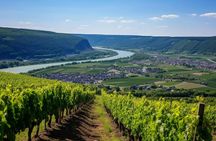 Discover Rosenheim in 1 hour with a local