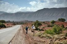 Full day excursion to Agadir from Marrakech