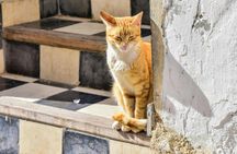 Full-day excursion to Al Jadida from Casablanca
