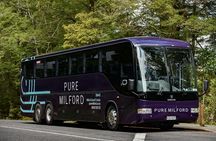 Milford Sound coach tour and day cruise experience