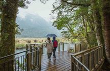 Milford Sound coach tour and day cruise experience
