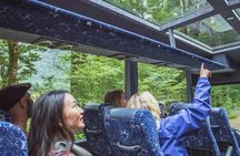 Milford Sound coach tour and day cruise experience
