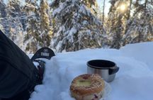 Soft snowshoe hike in the snowy landscape with local guide