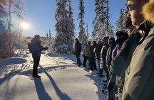 Soft snowshoe hike in the snowy landscape with local guide
