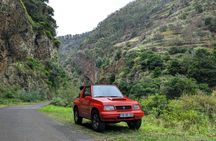 Madeira's North Side express private tour