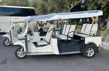 3-hour guided tour of Lisbon by tuk-tuk