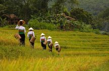 3-day Pu Luong off-road trekking from Hanoi