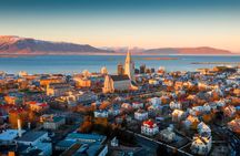 1-hour walking tour of Reykjavik with a local
