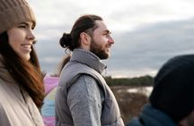 1-hour walking tour of Reykjavik with a local