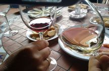 Half-day guided tour of Gran Canaria's volcanoes and vineyards