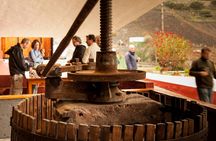 Half-day guided tour of Gran Canaria's volcanoes and vineyards