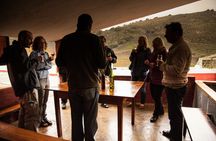 Half-day guided tour of Gran Canaria's volcanoes and vineyards