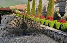 Guided day trip to Ohrid City and Lake from Skopje