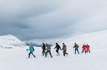 Winter walk on the wild side