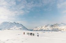 Winter walk on the wild side