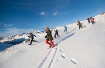 Winter walk on the wild side
