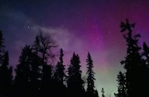 Northern lights tour in the dark from Sälen