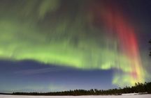 Northern lights tour in the dark from Sälen