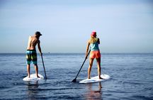 Calanova guided paddle surf excursion