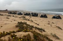 Half-day quad and sandboard experience in the Tifnit dunes