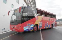 City Sightseeing Red Line panoramic city tour