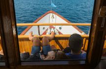 Full-day boat tour to Kornati National Park and Telašćica Bay