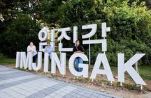 The Demilitarized Zone (DMZ) half-day guided tour from Seoul