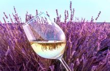 Lavender field self-guided tour with bottle of Rosé