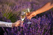 Lavender field self-guided tour with bottle of Champagne