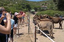 Cesme Islands boat tour with BBQ lunch