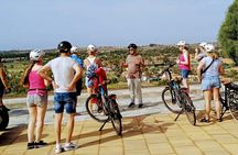 E-Bike city tour with camel safari across Maspalomas dunes