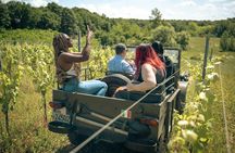 Wine Safari Poggio ai Laghi Vineyard On a Vintage Off-Road