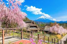 Mount Fuji top 4 must-visit attractions full day tour from Tokyo
