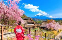 Mount Fuji top 4 must-visit attractions full day tour from Tokyo