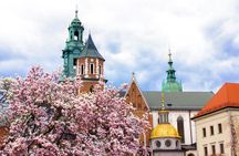 1-hour Tour of Krakow with a Local