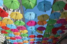 Discover Timișoara in 60 Minutes with a Local