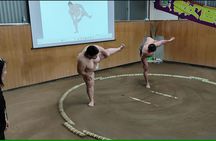 Interactive sumo wrestling experience with meal in Tokyo